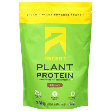 Ascent Plant Protein Powder